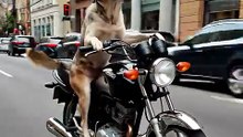 TIRA SUA IDEIA DO VIDEO PARA CRIA SUA IDEIA
