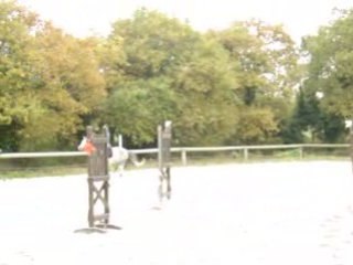 Nerva Derby Surzur 2007 (80 cm)