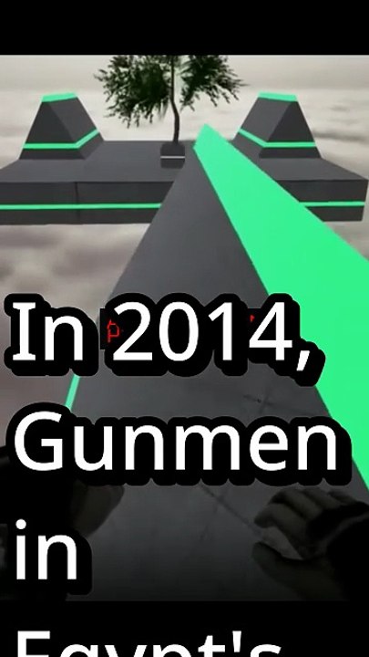 The Shocking Truth About Gunmen in Egypt's western desert province of New (2014)
