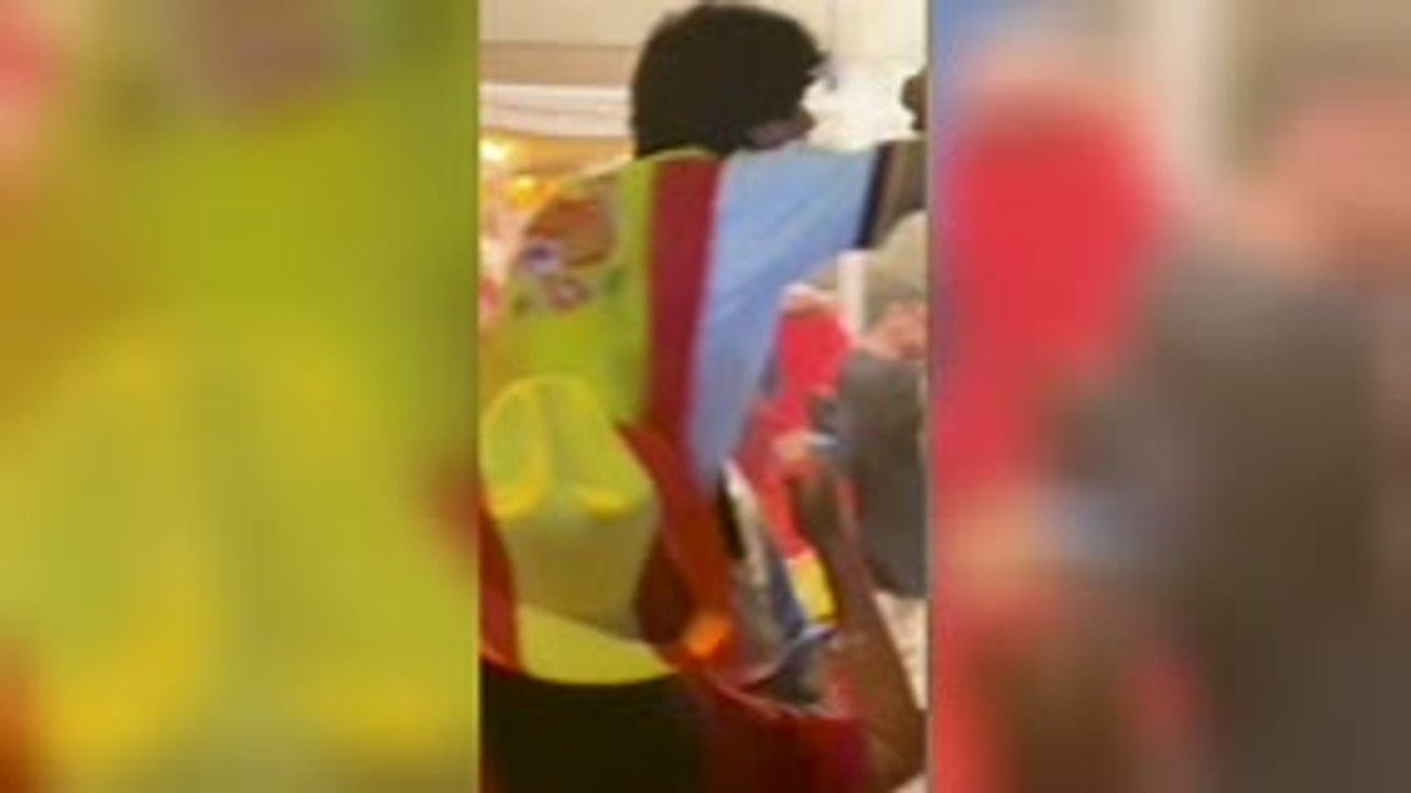 Torres goal sends Spain fans WILD!