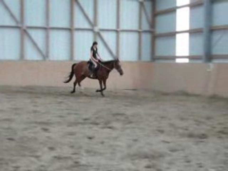 'lexou et native