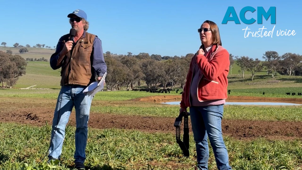 Aussie farmers adopt virtual fencing: managing herds via an app