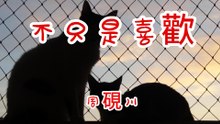 周硯川-不只是喜歡『別管那劇本怎麼寫兩個人的事單身或戀愛也不過是幾個文字只要這一刻我們能一起傻笑』#周硯川 #不只是喜歡【動態歌詞/Lyrics Video】