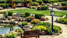 Passo a passo da construção de um jardim