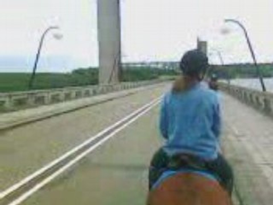 VID007