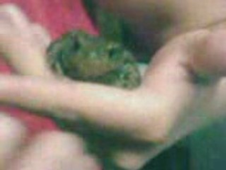 VID005