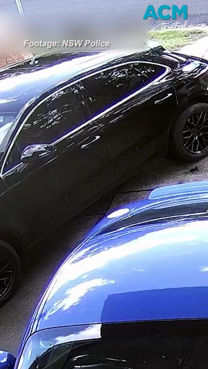 Stolen cars allegedly used in shooting, firebombing