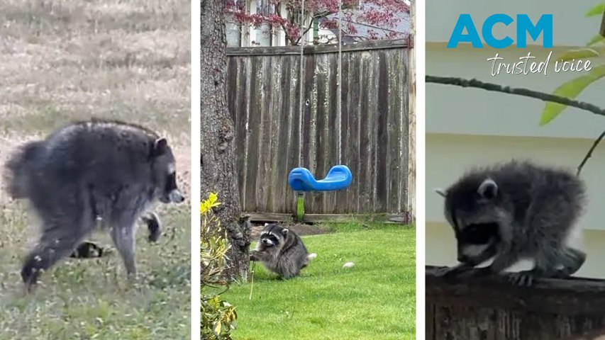 Watch Latest Videos | Western Advocate | Bathurst, NSW