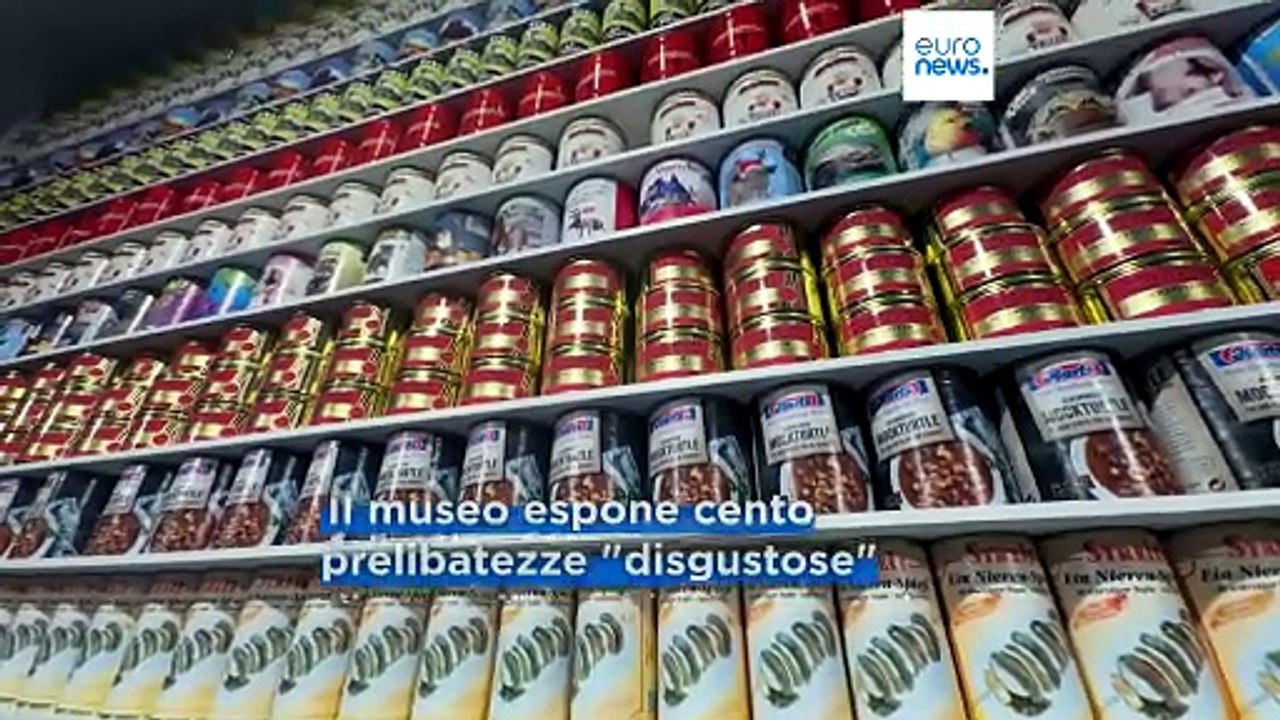 Formaggio ai vermi, pesce puzzolente e stomaco di maiale, piatti regionali che sfidano i buongustai
