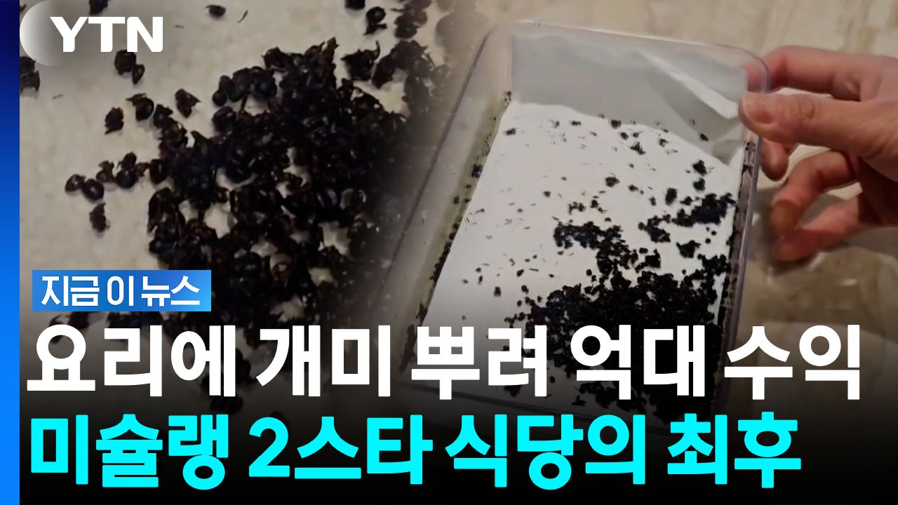 식용 불가인데…요리에 '개미 토핑' 미슐랭 2스타 대표, 결국 [지금이뉴스] / YTN