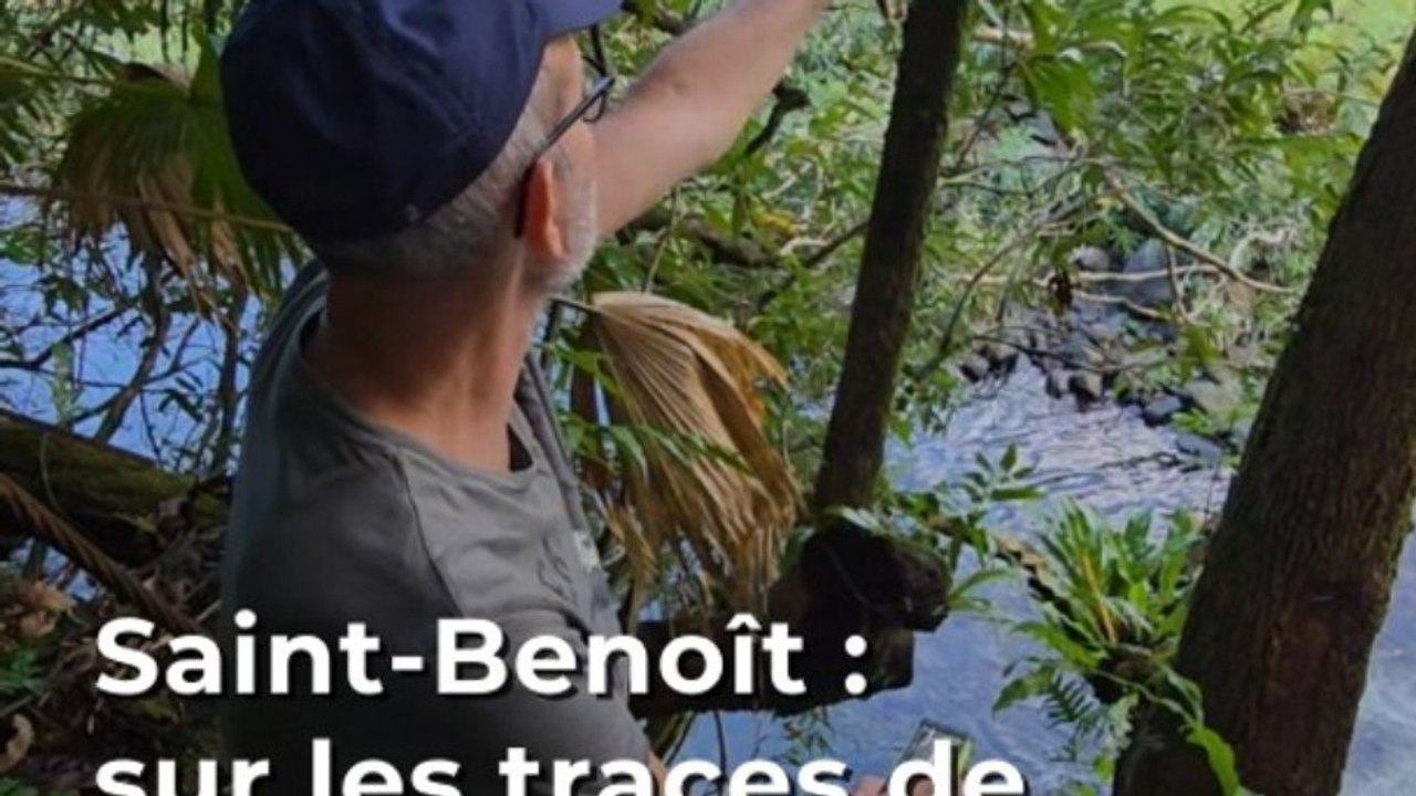 Saint-Benoît : sur les traces de l'ancienne passerelle de Bethléem