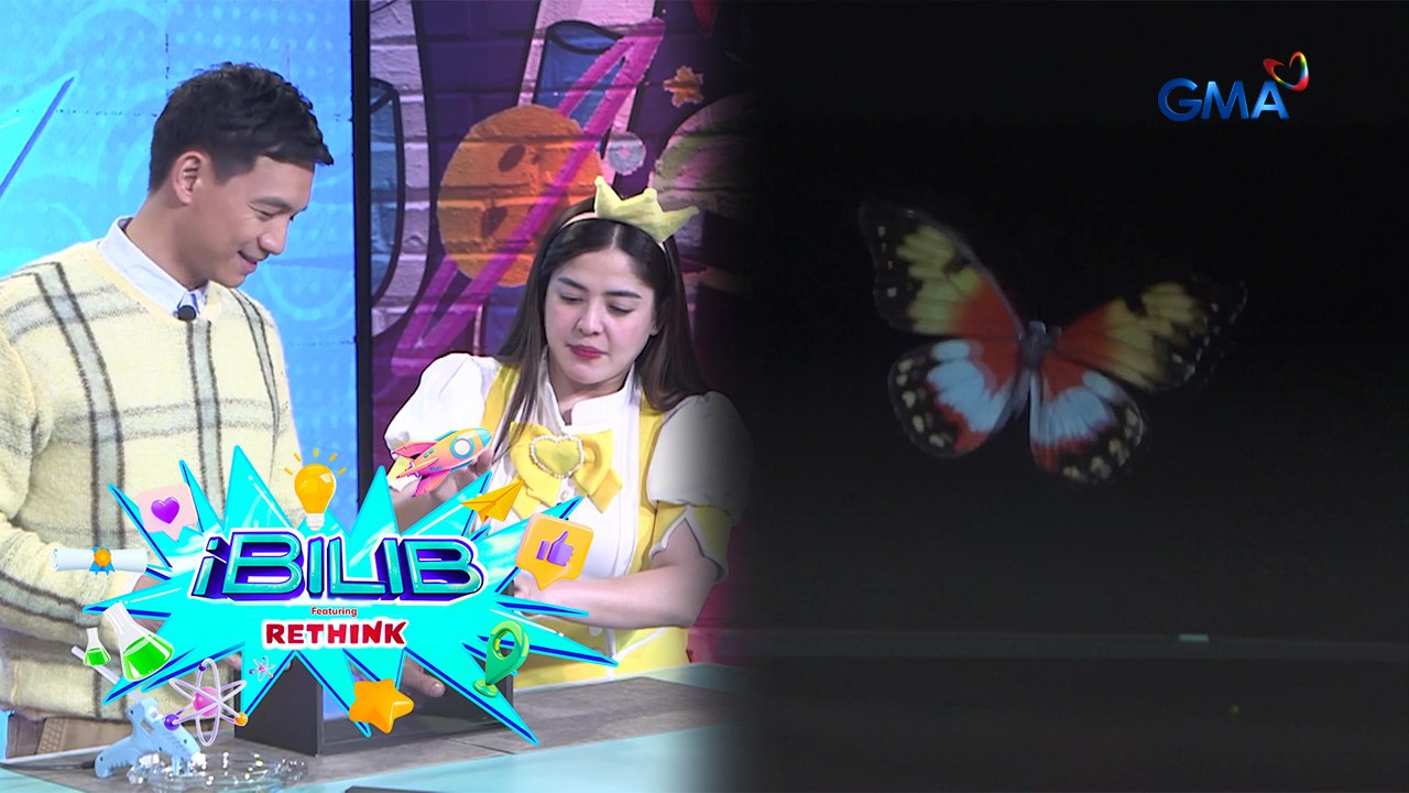 iBilib: Watch a butterfly come to life!
