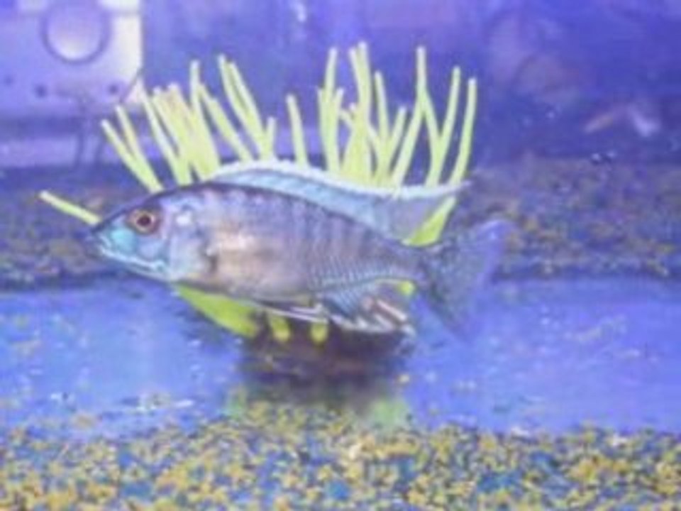 Clip photo2