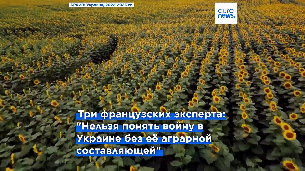 Эксперт: "Получить контроль над сельхозресурсами Украины значит отнять их у Евросоюза"