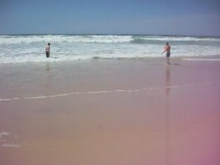 American staff amstaff game et anna dans l'ocean 33