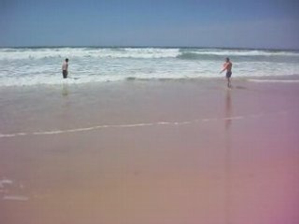 American staff amstaff game et anna dans l'ocean 33