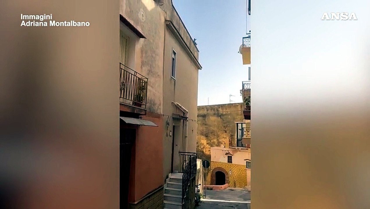 Cuccioli di cane morti per caldo, attivisti: “Proprietario non finirà in cella”