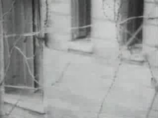 La face de la torture..... Des abatoires (8)