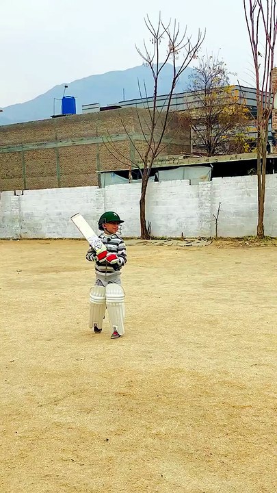 maintain the head position for cover drives, pull shot #coverdrive #cricket #battingpractice