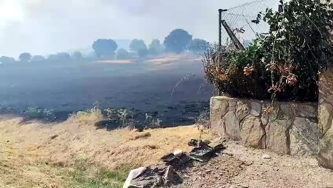 Alrededores del núcleo urbano de Zarzuela de Jadraque, tras el paso del incendio que afecta a la Sierra Norte de Guadalajara.