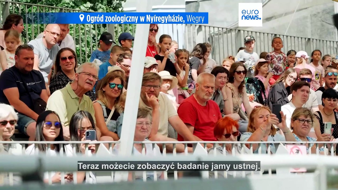 To nie jest zwyczajne zoo! Węgierski Nyíregyházi Állatpark ma 30 lat