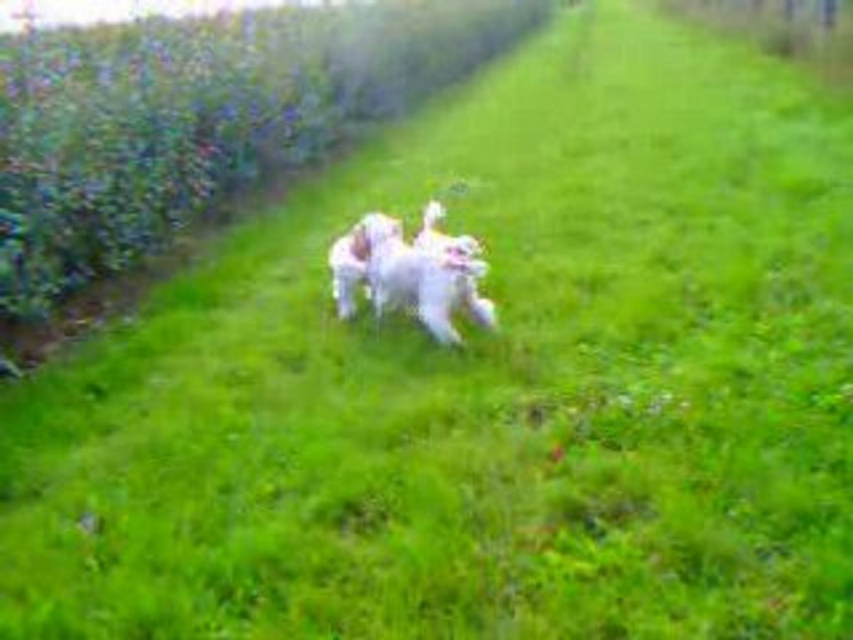 Manon et snoopy juillet 001