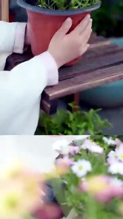 Three Kung Fu kids instantly recognize a poor maid as their mom—so the CEO takes her home to cherish her! [Full Movie]
