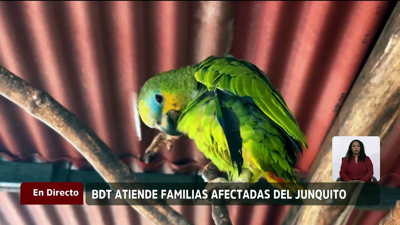BDT realiza despliegue para atender a las familias afectadas por los terremotos en El Junquito