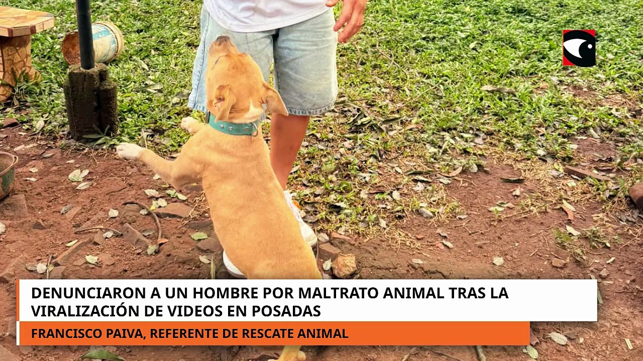 Denunciaron a un hombre por maltrato animal tras la viralización de videos en Posadas