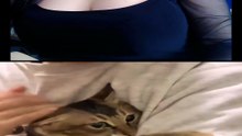 ¿Por que deberias tener mascotas?