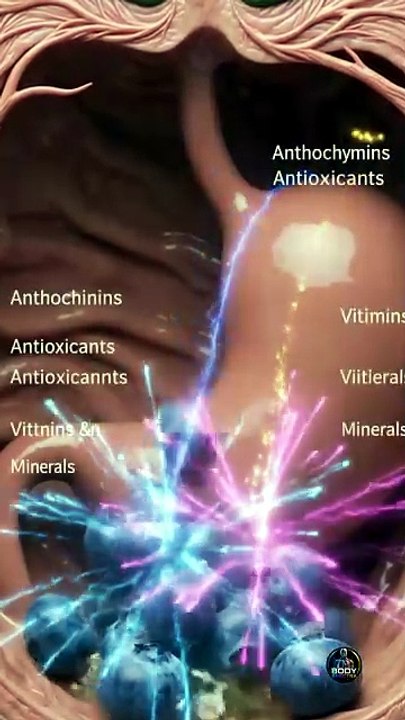 What really happens inside your body after eating blueberries 🤯