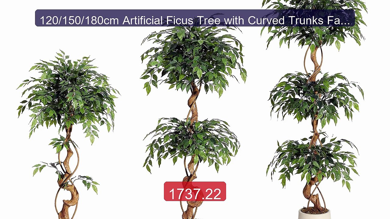 120/150/180cm Artificial Ficus Tree with Curved Trunks Fake... -- Top Pick 2026 | Unbeatable Price!