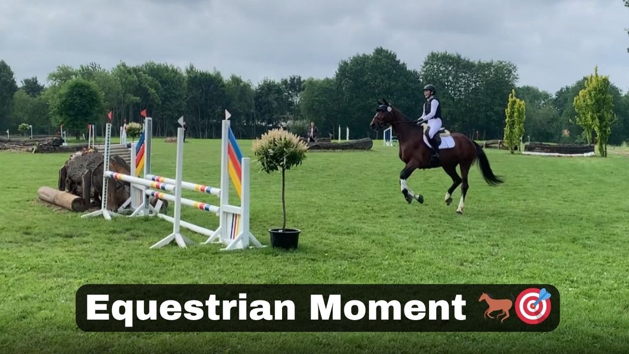 Horse Jumps Several Hurdles Before Rider Drops From It