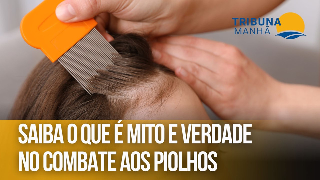 Saiba o que é mito e verdade no combate aos piolhos