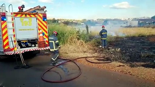 Incêndio em vegetação mobiliza Corpo de Bombeiros no Bairro Periolo, em Cascavel