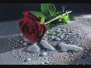 Kayliah Quand Une Fille Est Love (Remix)