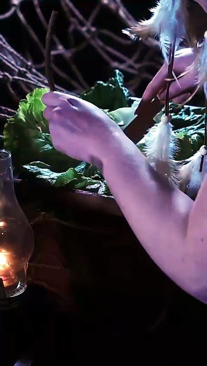 Taste of the Wild