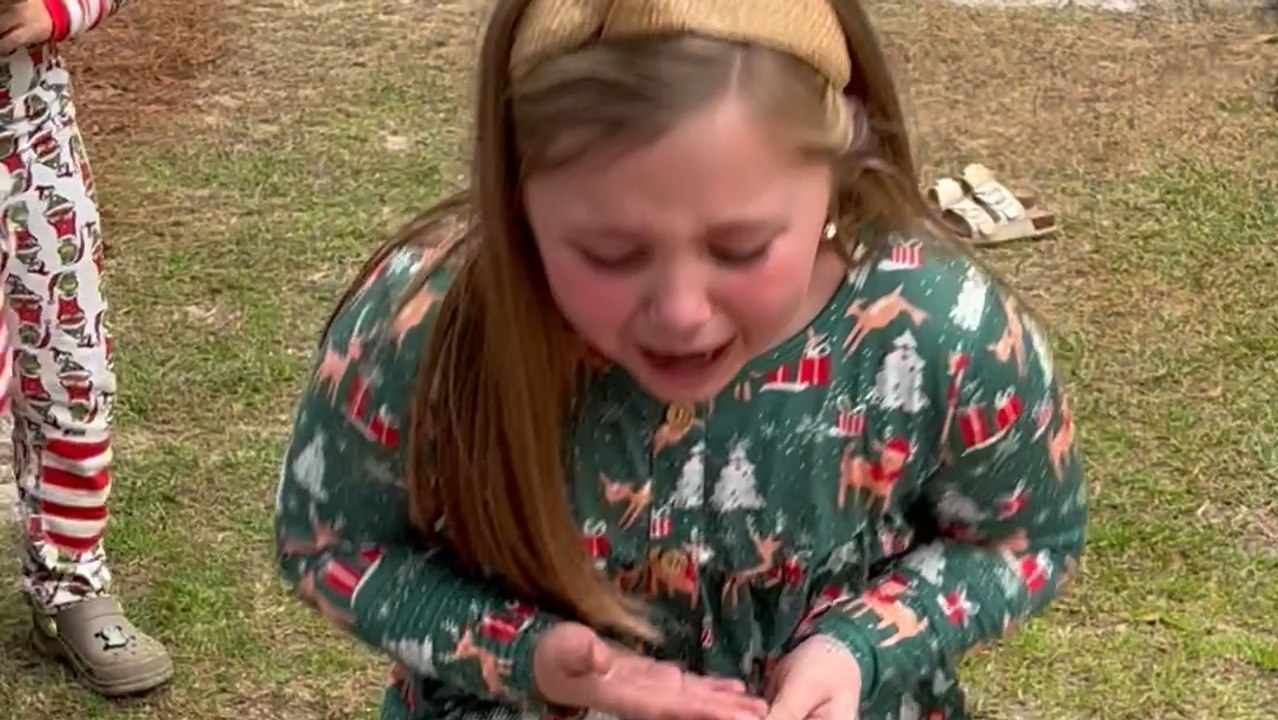 Heartwarming Surprise: Girl's Joyful Reaction to Puppy