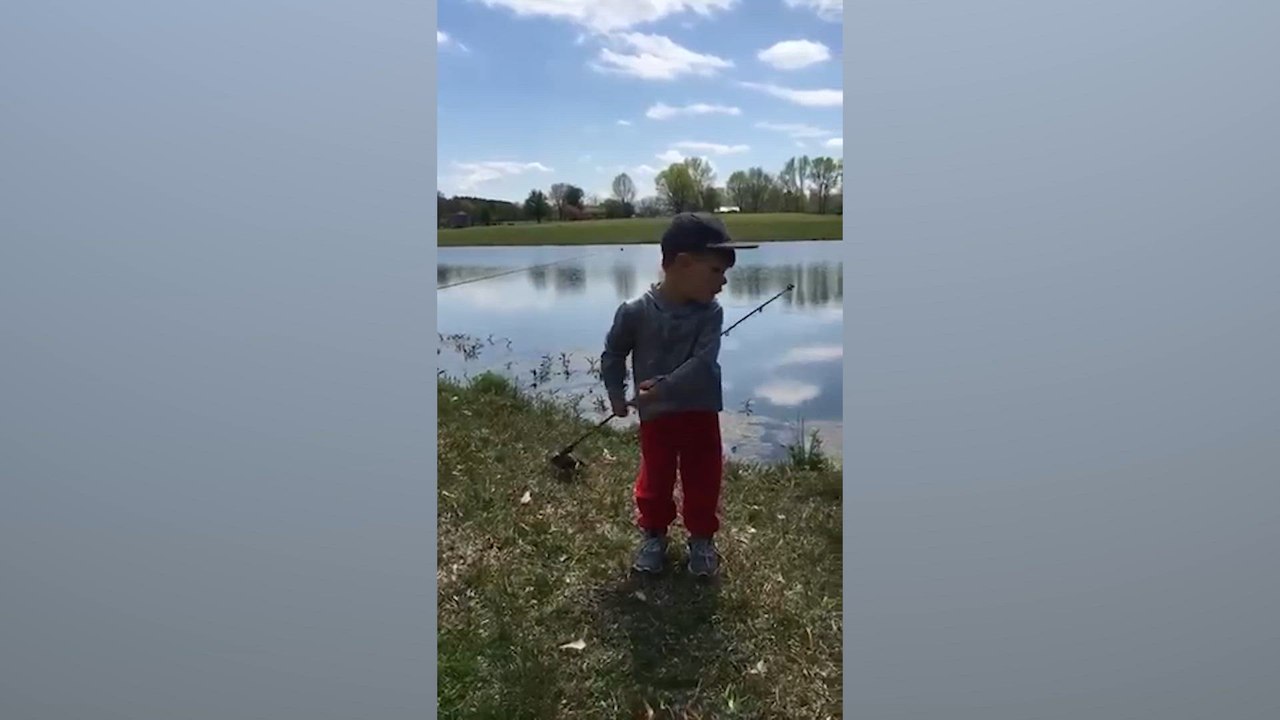 Funny Falls