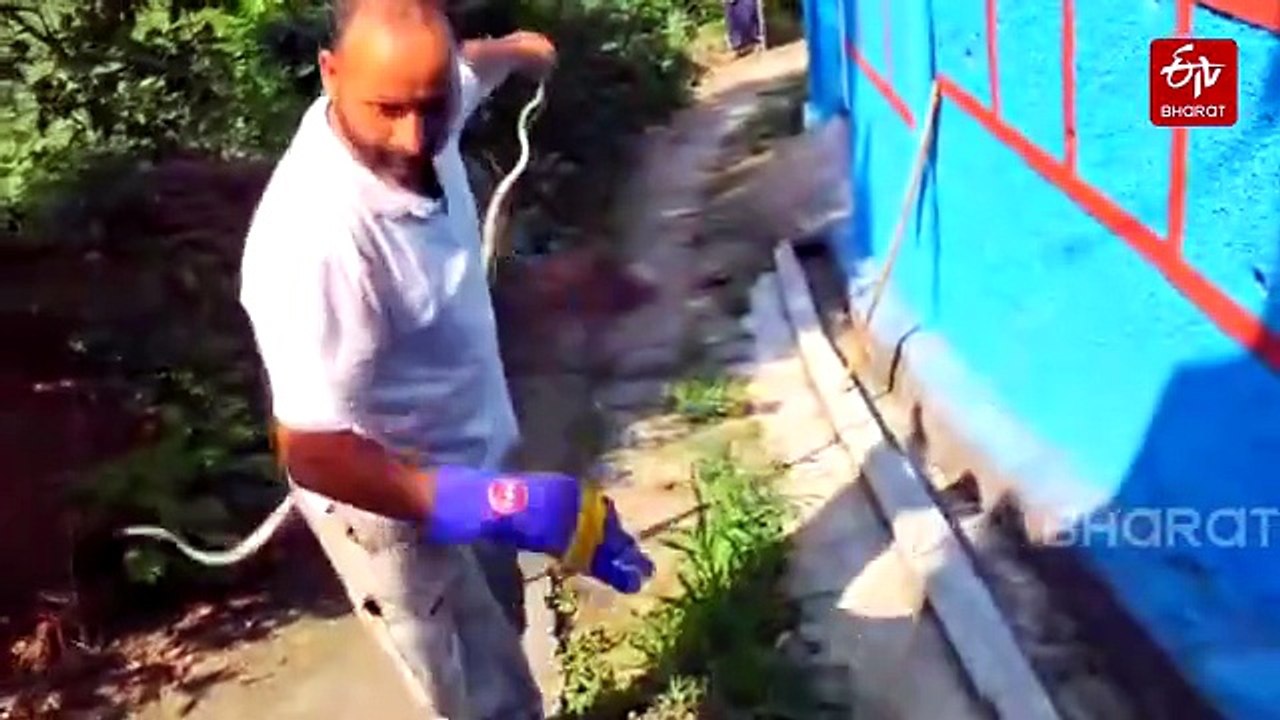 Hamirpur’s ‘Snake Man’: Indian Army Veteran Rescues Over 1,000 Snakes, Promotes Snakebite Safety Across Himachal