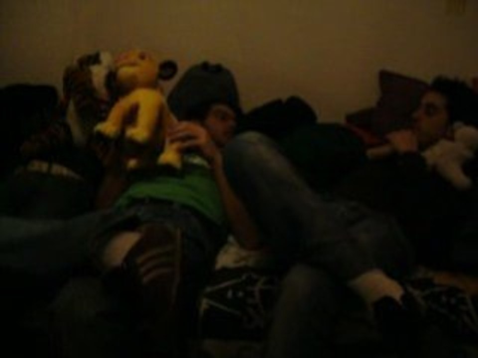 Peluches Tektonik