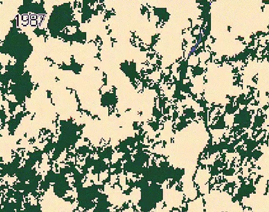 Mapbiomas-area-evolution (1)