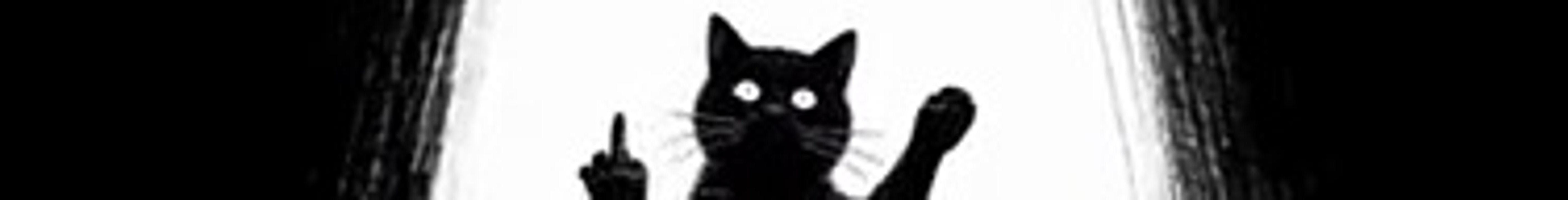 cats gif 9