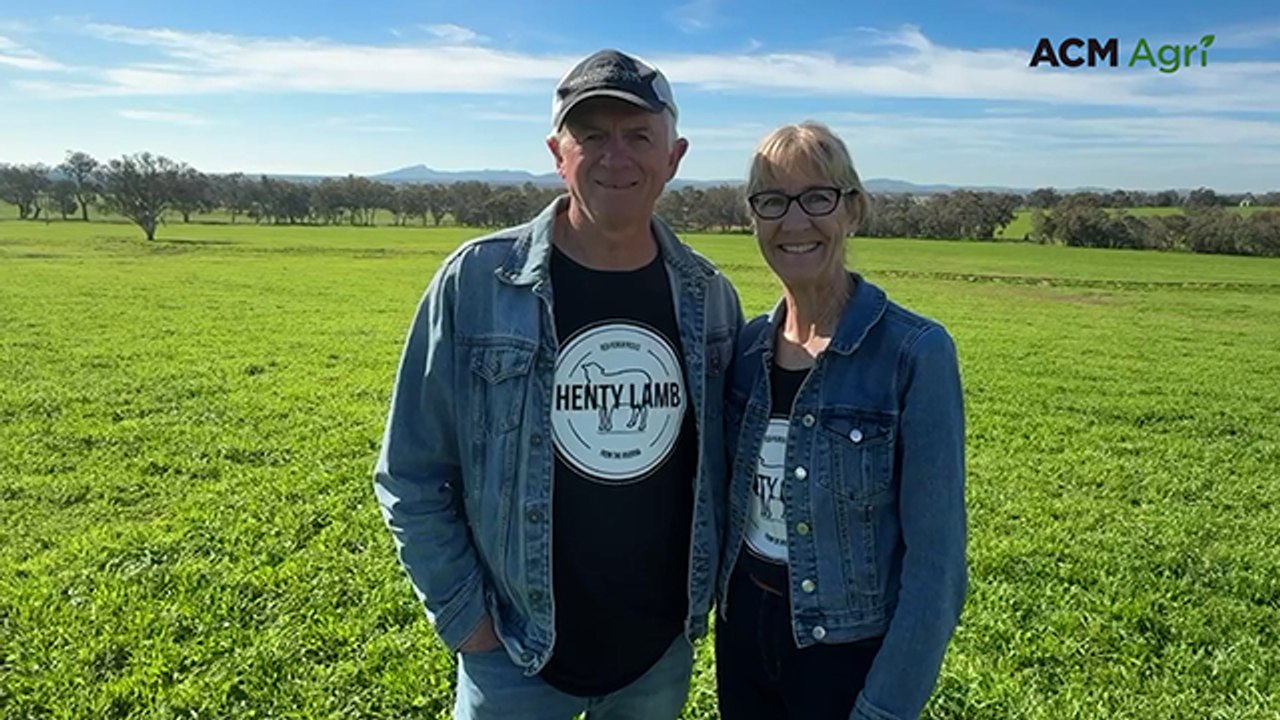 How Henty Lamb became a multi-city brand