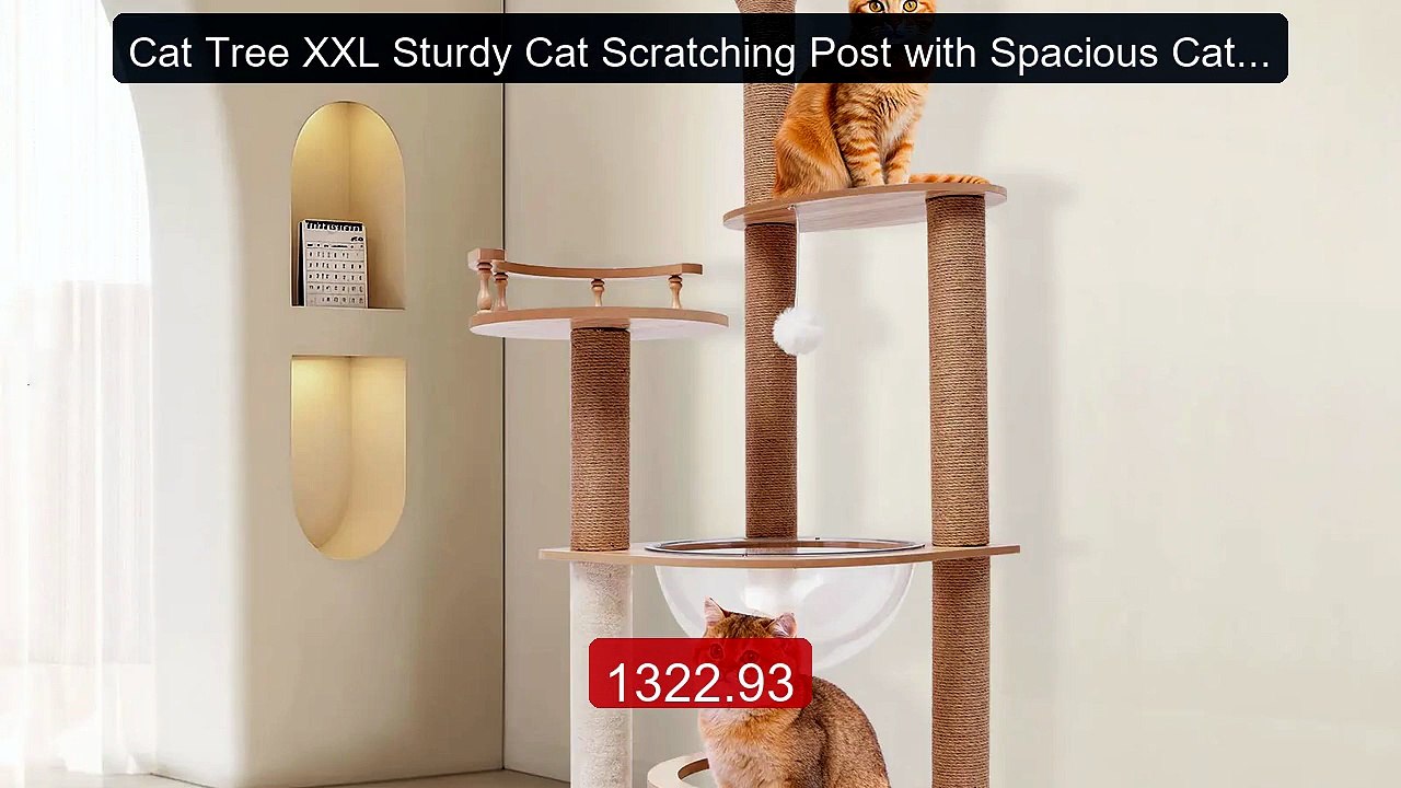 Cat Tree XXL Sturdy Cat Scratching Post with Spacious Cat Bed... -- Amazing Value 2026 | Must Have!