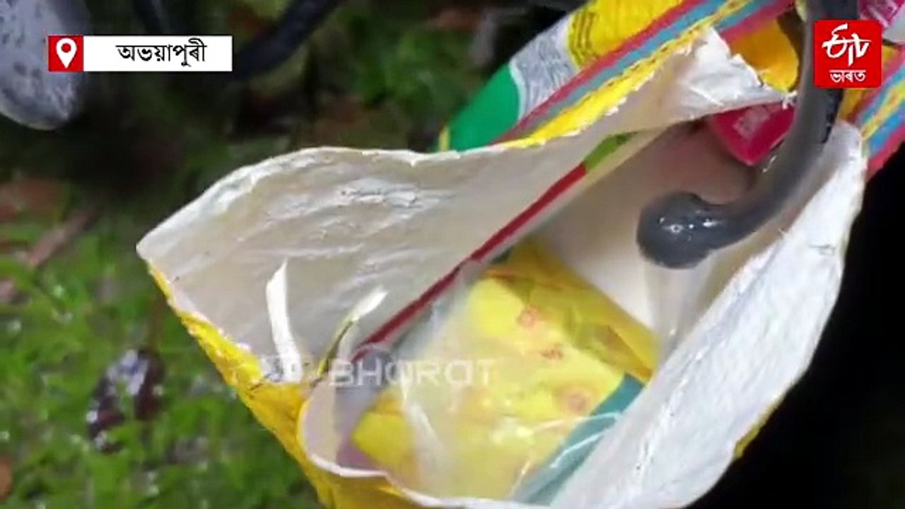 ঘৰ পাবলৈ ৫০০ মিটাৰ দূৰত অভয়াপুৰীত উদ্ধাৰ সাংস্কৃতিক কৰ্মীৰ মৃতদেহ