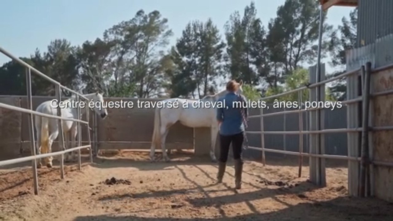 Centre équestre traversé à cheval, mulets, ânes, poneys