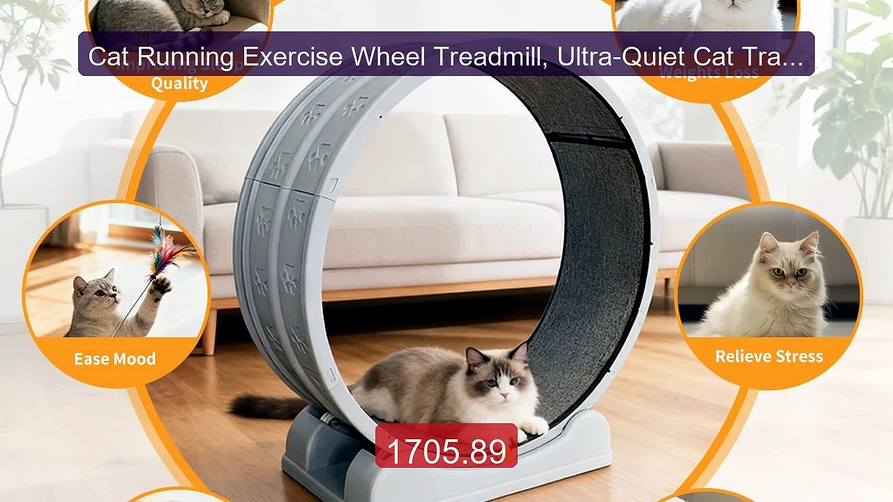 Cat Running Exercise Wheel Treadmill, Ultra-Quiet Cat Train... -- Top Pick 2026 | Unbeatable Price!