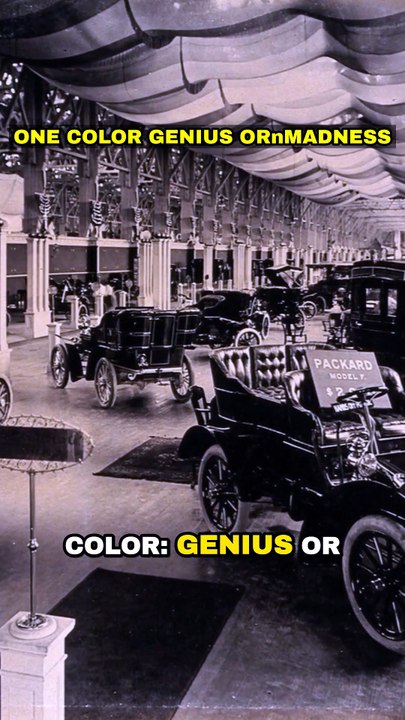One Color: Genius or Madness? 🤯