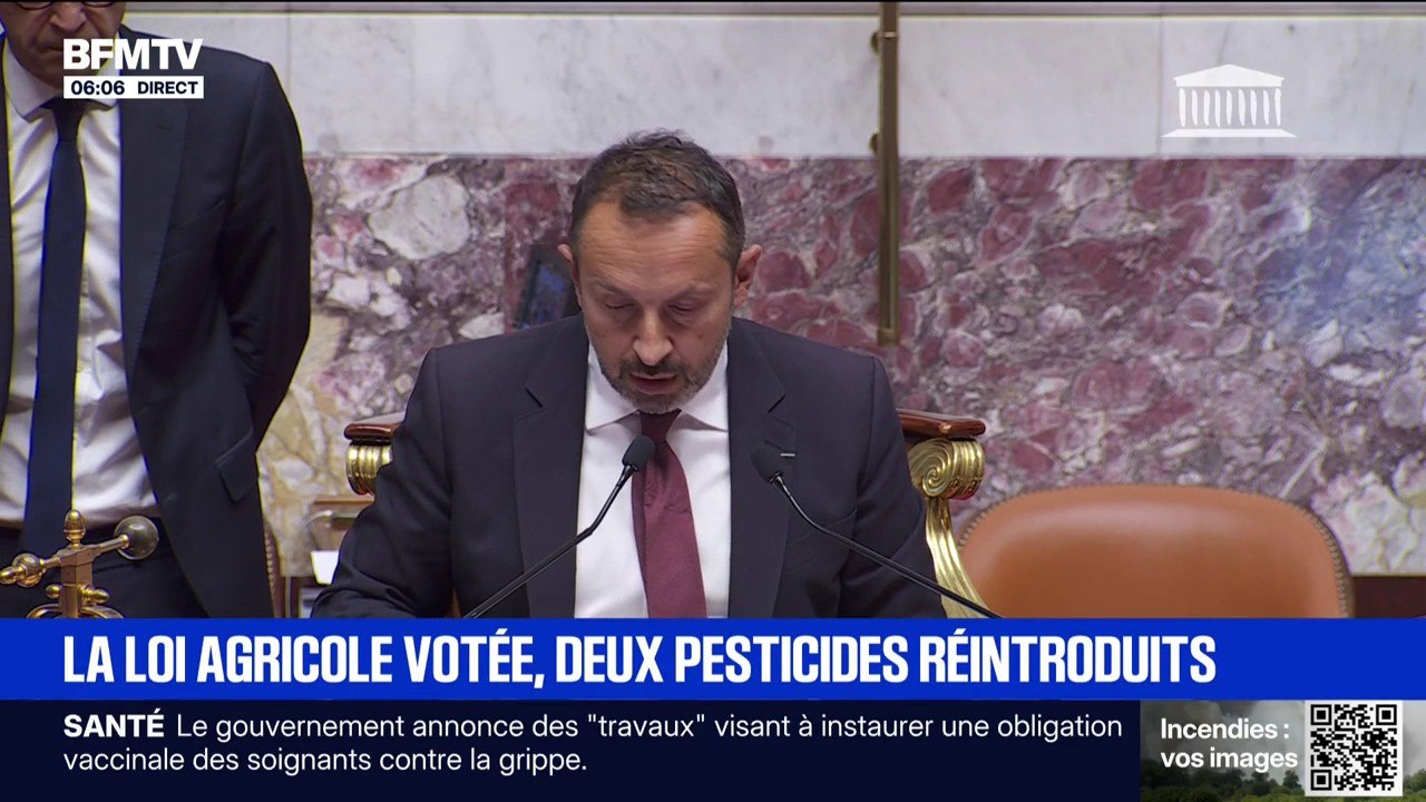 L'Assemblée adopte la loi d'urgence agricole, l'acétamipride pourrait être utilisé par certaines filières en difficulté